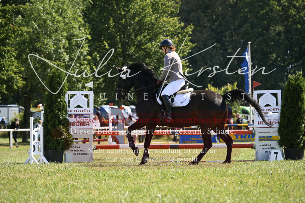 DSC_8790 | Pferde- und Turnierfotografie in Westsachsen. Pferdeportraits, Auftragszeichnungen und intuitive Kunst.
