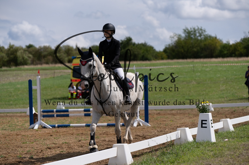 A7V03122 | Pferdefotograf