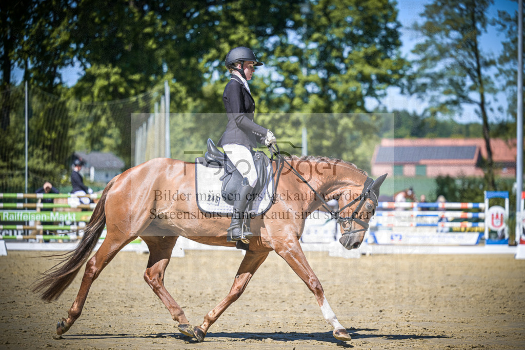 DOS_6132 | Entdecke hochwertige Reitturnierfotos von Foto Oger. Professionell, emotional und authentisch – jetzt Lieblingsmomente im Shop bestellen.Deutschlandweite Turnierfotografie. - Realisiert mit Pictrs.com