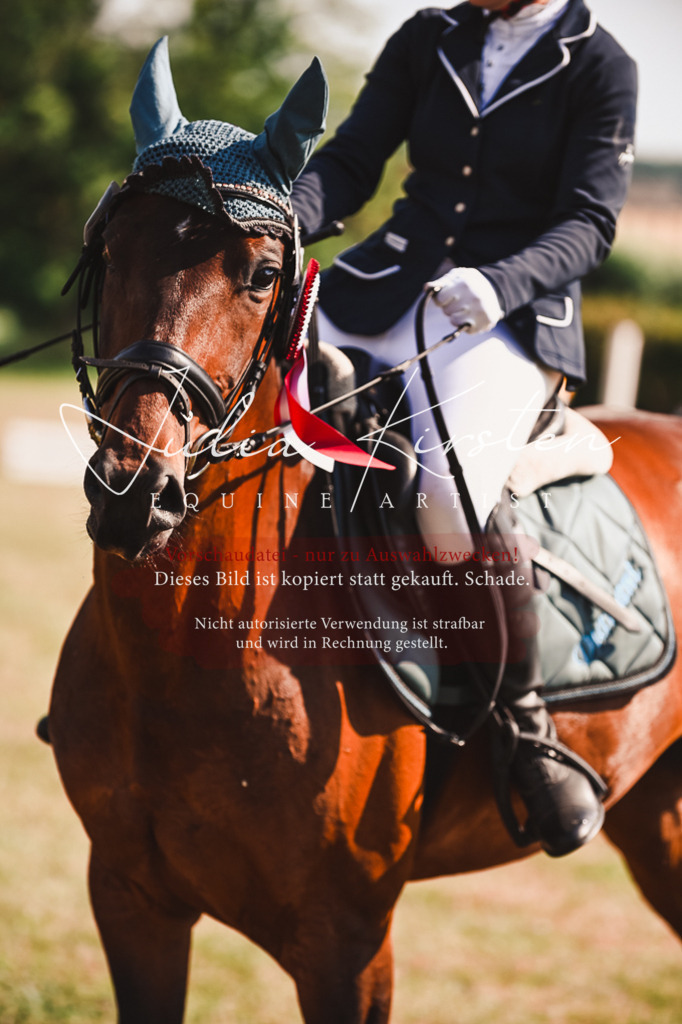 DSC_7393 | Pferde- und Turnierfotografie in Westsachsen. Pferdeportraits, Auftragszeichnungen und intuitive Kunst.