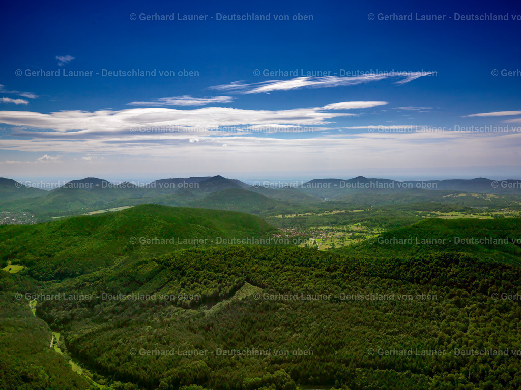 2736736 | Pfälzerwald bei Spirkelbach