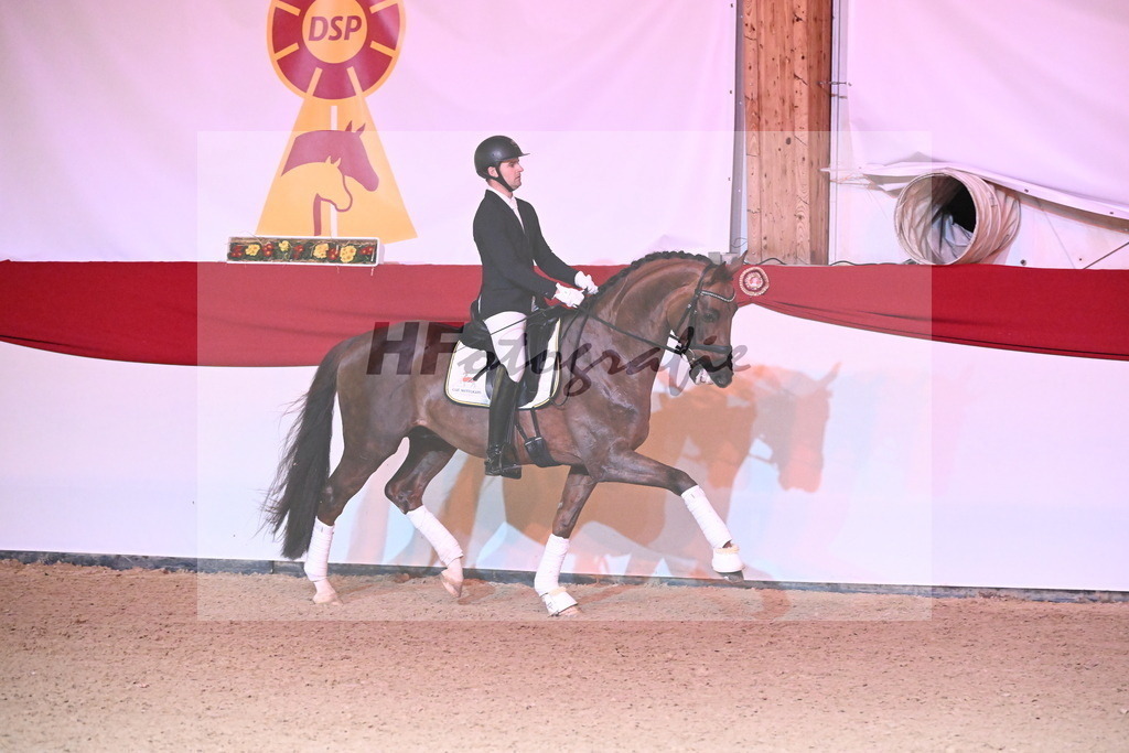 Feliciano_Wadenspanner_2254397 | hf-fotografie - Realisiert mit Pictrs.com