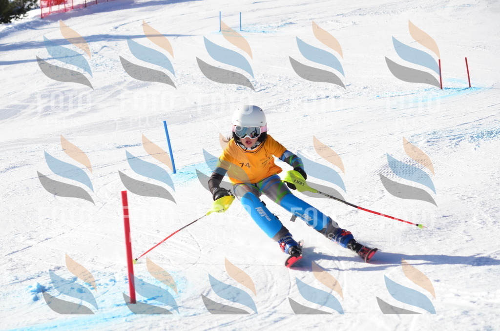 C5916 | holidayphoto