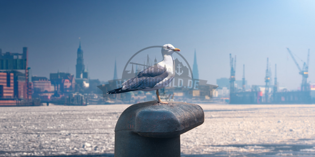 Hamburg collage 21.0 | Exklusive Hamburg collagen, tolle Segelbilder und viele weitere tolle Motive auf Leinwand, Poster, Alu-Dibond, u.v.m. findet Ihr bei uns auf hamburgbild.de. Findet Euer Wandbild für Euer Zuhause, Büro oder die  Praxis…. - Realisiert mit Pictrs.com