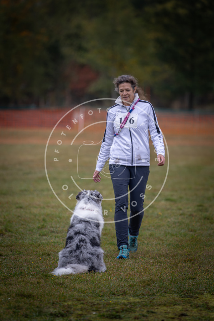 Pfotenfotografie_DV3A9405 | Hundefotografie, Tierfotograf, Pfotenfotografie, Fotoshooting Hund, Hunde Portrait, Hundesport, Hundeportraits, Heideshooting, Hunde, Sportfotograf, Hundefotograf, Turnierhundsport, THS,  - Realisiert mit Pictrs.com