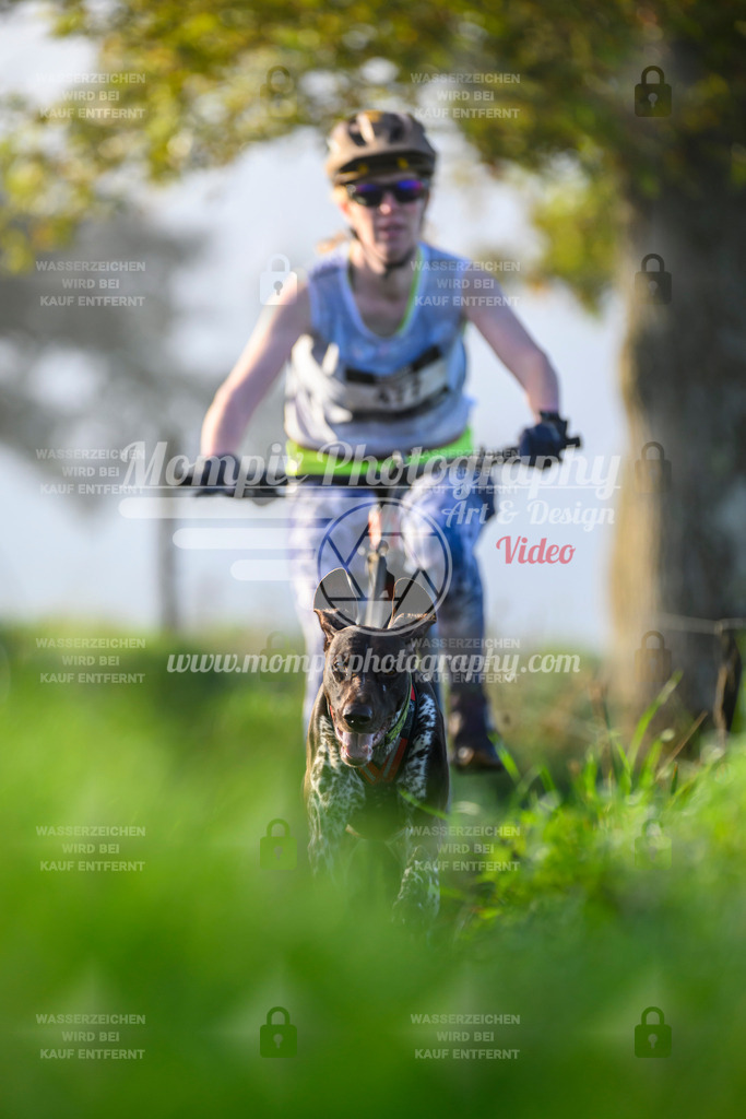 MompixPhotography_20TSB_E3_Bike-150 | PayLife
