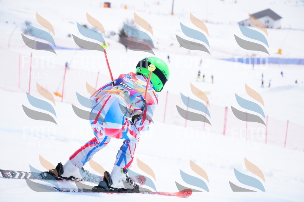 DSC_2246 | holidayphoto