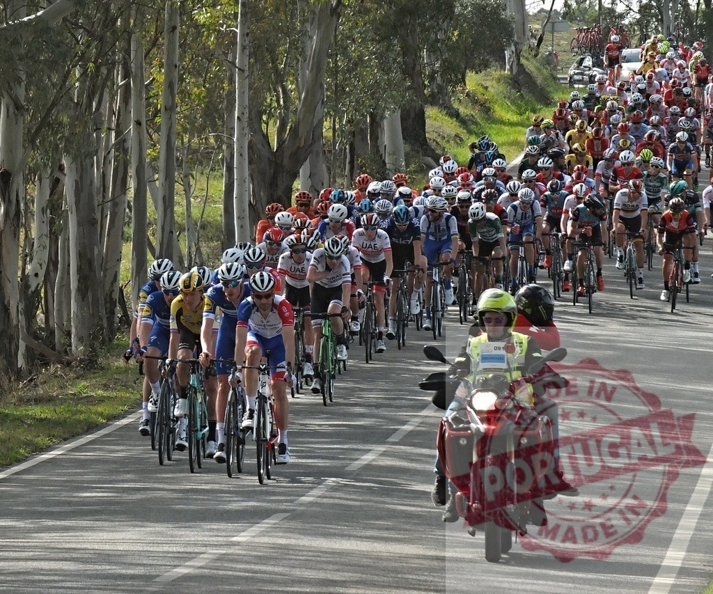 Cyclists racing in large peloton on road surrounded by trees | Athletes cycling in bicycle race as a large peloton with support motorcycle - Realisiert mit Pictrs.com