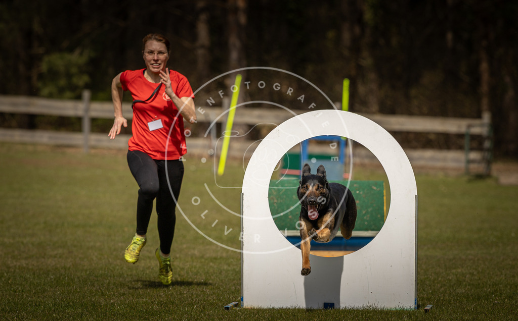 Pfotenfotografie_DV3A5898 | Hundefotografie, Tierfotograf, Pfotenfotografie, Fotoshooting Hund, Hunde Portrait, Hundesport, Hundeportraits, Heideshooting, Hunde, Sportfotograf, Hundefotograf, Turnierhundsport, THS,  - Realisiert mit Pictrs.com