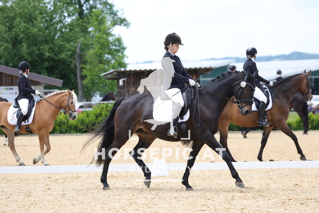 0P6A8541 | Willkommen bei Brunnmayr - Design & Fotografie – Ihrem Spezialisten für Reitturniere und Pferdeveranstaltungen in Oberösterreich, Salzburg und Bayern! Seit über 17 Jahren sind wir leidenschaftlich dabei.