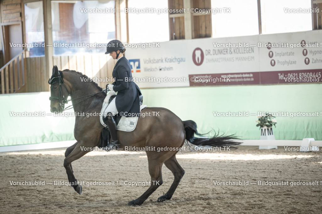 _D5A9890 | Emotionale Pferde- & People-Fotografie rund um Heidelberg, Leimen & Umgebung. Natürliche Fotos von Pferd, Mensch & Familie. Jetzt Termin sichern!