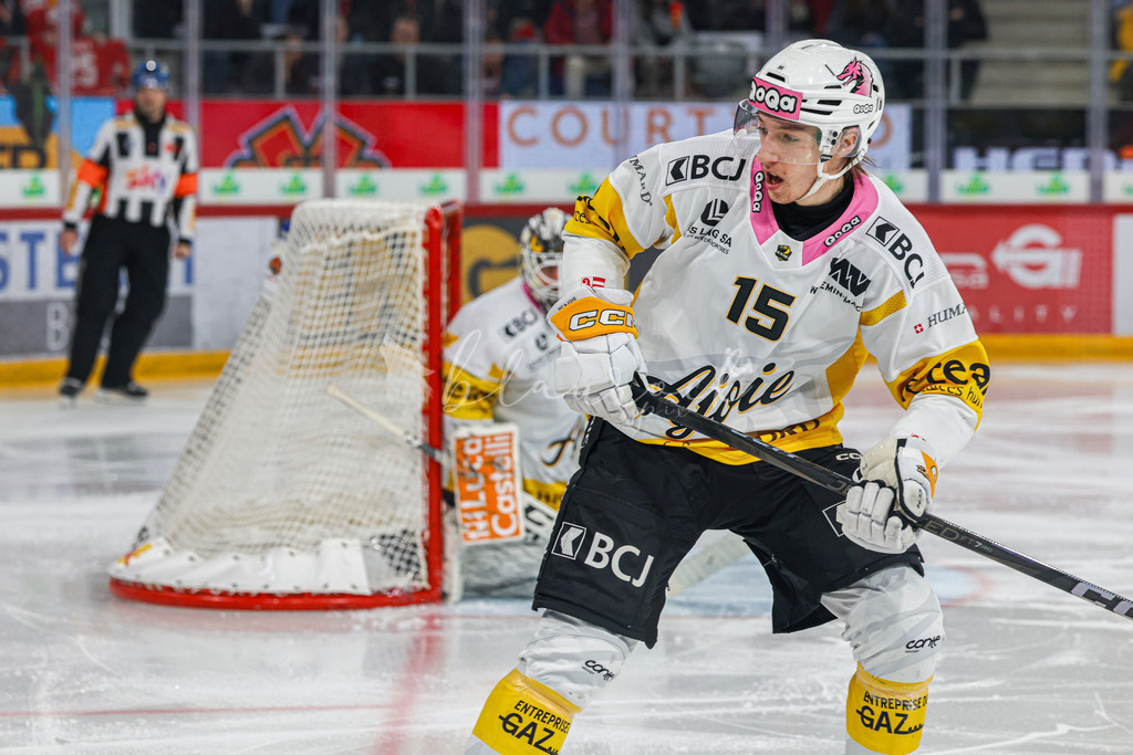 EHCB vs HCA 20260127_wb-9163 | Sportbilder, Sportfotograf, Hochzeits- und Eventfotografin, Flugshows, Portraits und Tiershooting, Aviation, Downhill, Nationalleague, Swissleague, International