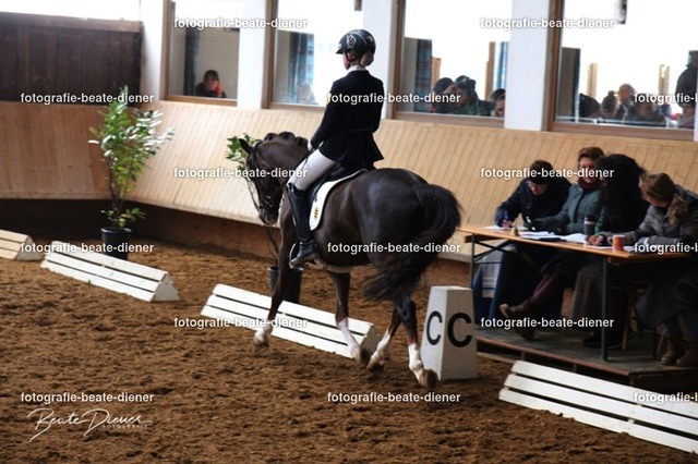 JugendTrophy0251 | Fotografie, Tiere, Hunde, Katzen, Pferde, Sportfotografie, Fotosession, Tierfotografie, Turnierfotografie, Fotografin, Fotograf - Realisiert mit Pictrs.com