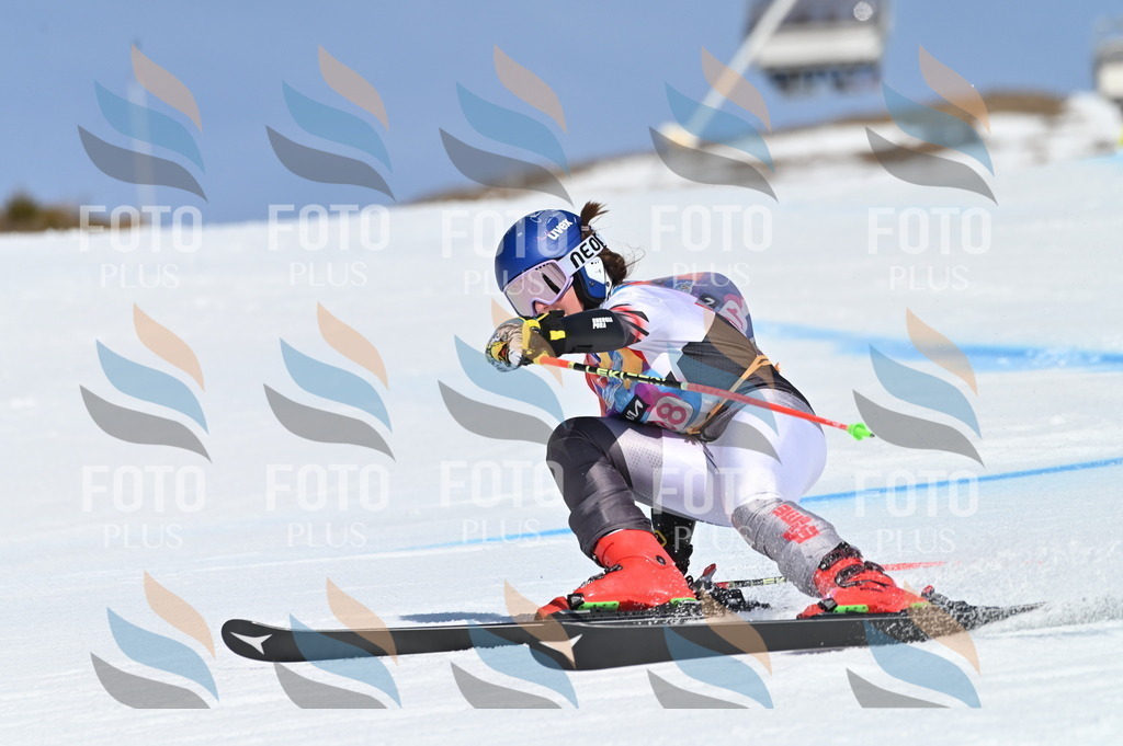 BGV_9608 | holidayphoto