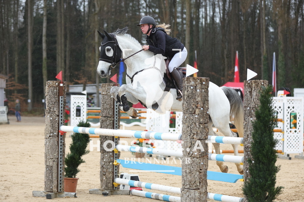 0P6A0002 | Willkommen bei Brunnmayr - Design & Fotografie – Ihrem Spezialisten für Reitturniere und Pferdeveranstaltungen in Oberösterreich, Salzburg und Bayern! Seit über 17 Jahren sind wir leidenschaftlich dabei.