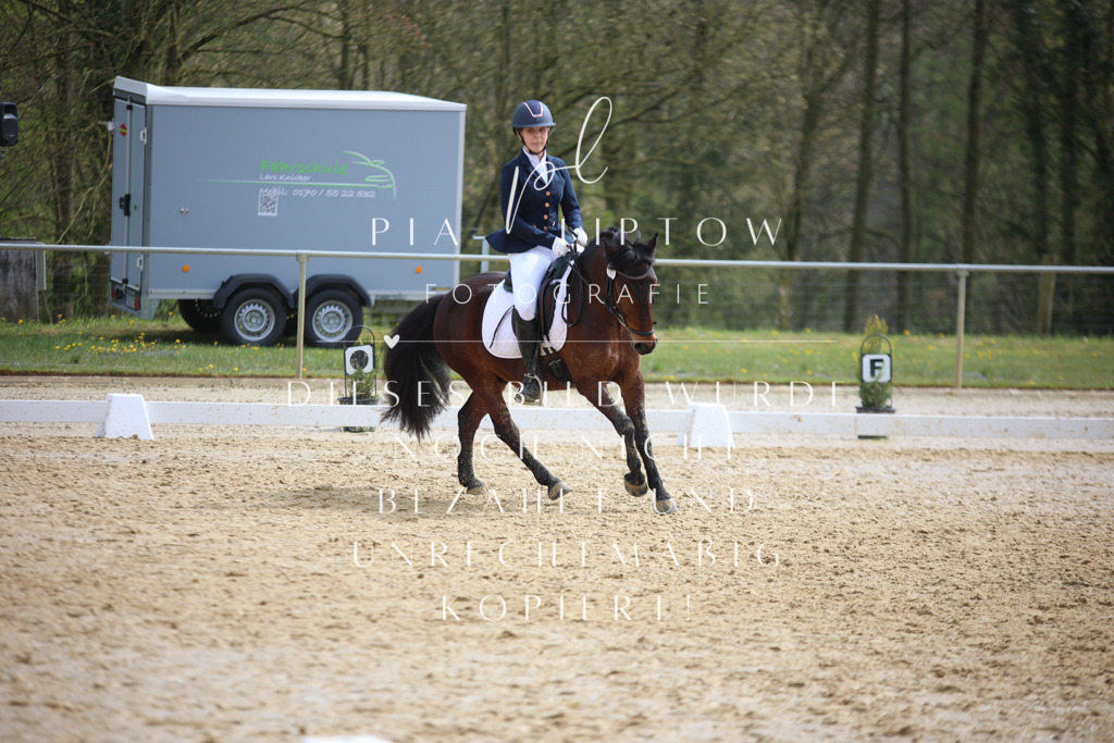 IMGT5074 | pl-fotografie