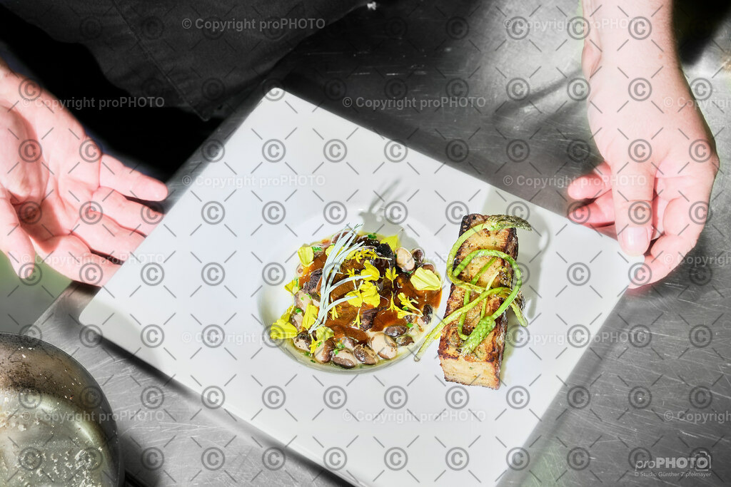 _prophoto_NZ93598 | proPHOTO - Realisiert mit Pictrs.com