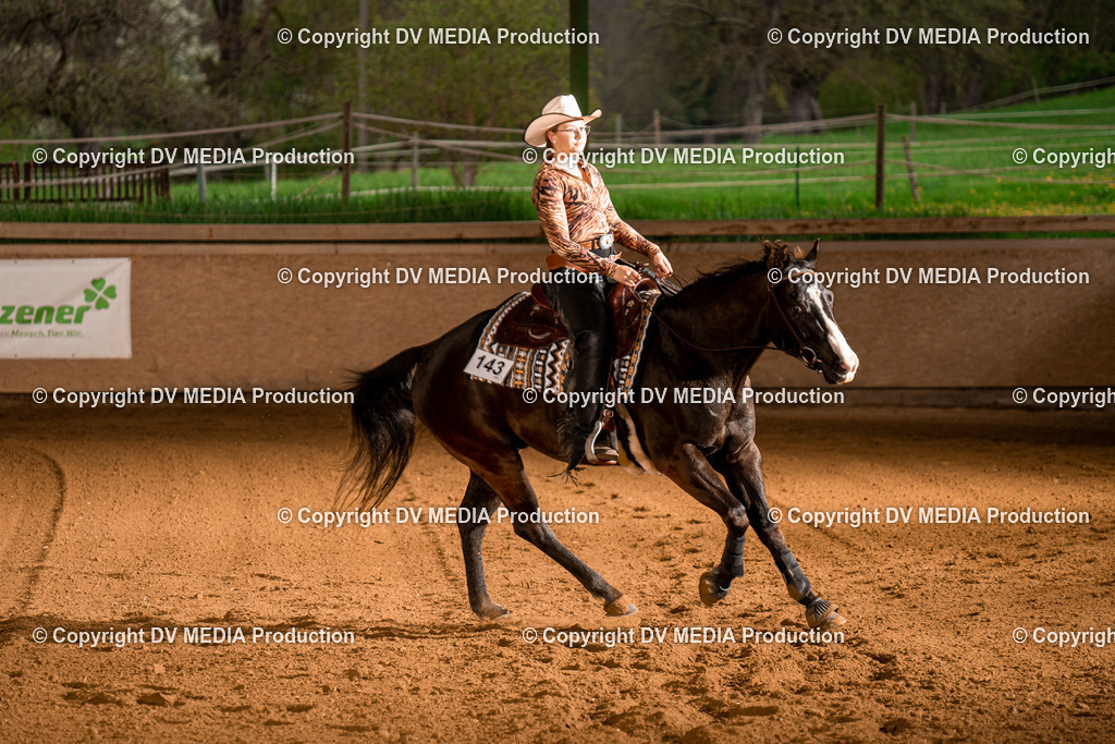 BAL01070 | dv-media-shop - Realisiert mit Pictrs.com