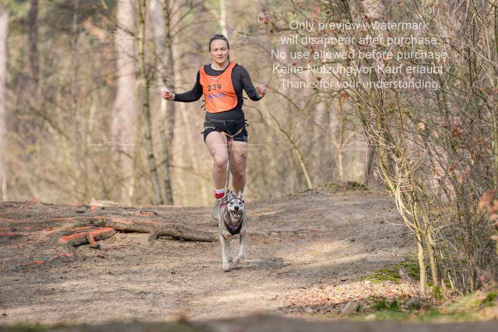 LangeCross_So-309 | stephaniefillaphotographie - Realisiert mit Pictrs.com