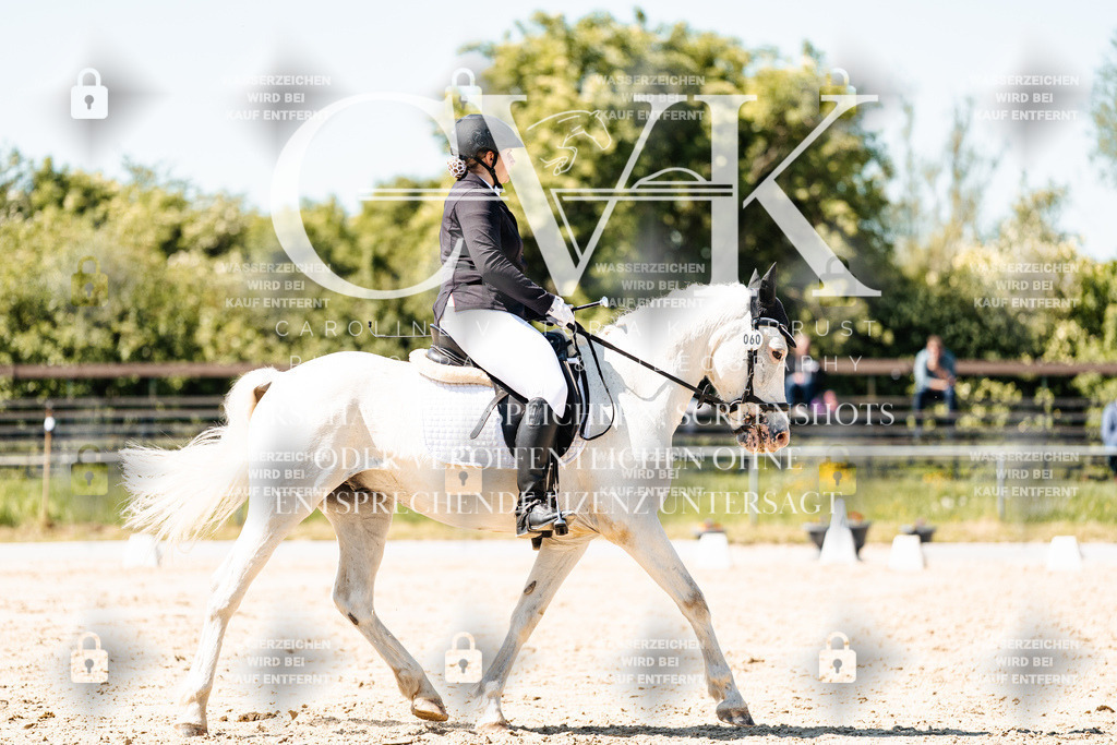 CK905526 | Turnierfotografie Pferdefotografie Trier Rheinland-Pfalz Pferdesport Reitsport Tierfotografie Sportfotografie Pferdevideo Pferdevideografie Equestrianvideography equestrianphotography  - Realisiert mit Pictrs.com