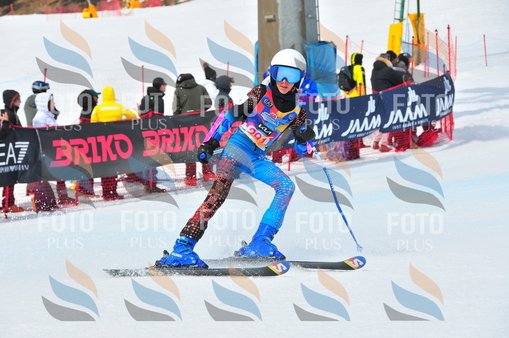 DSC_6461 | holidayphoto