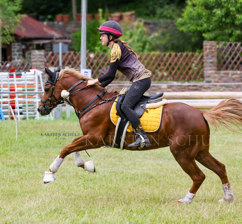 1B3A1352 | Reitsport Reiten