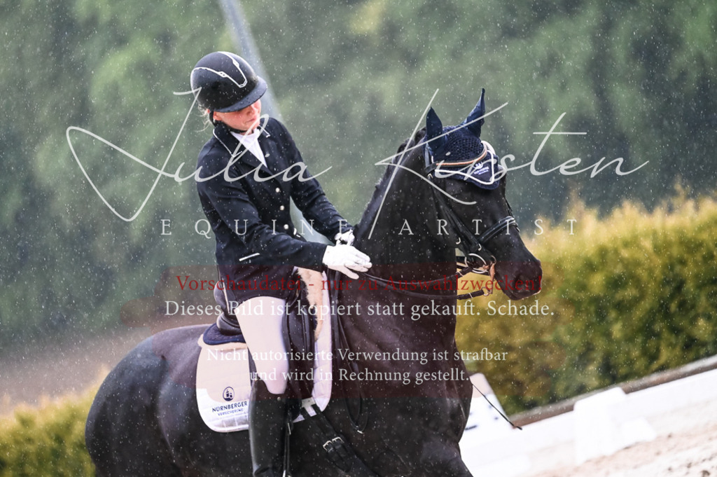 DSC_4755 | Pferde- und Turnierfotografie in Westsachsen. Pferdeportraits, Auftragszeichnungen und intuitive Kunst.