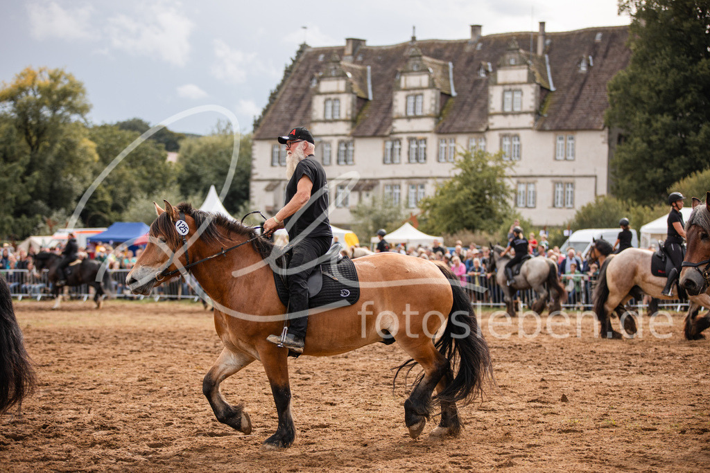 846A4057 | fotosleben - Realisiert mit Pictrs.com