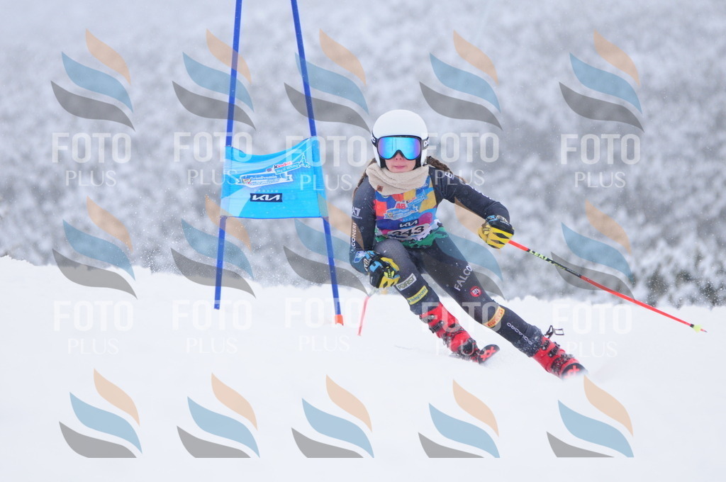 C3673 | holidayphoto