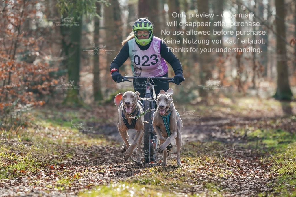 So_Scooter_2-58 | stephaniefillaphotographie - Realisiert mit Pictrs.com