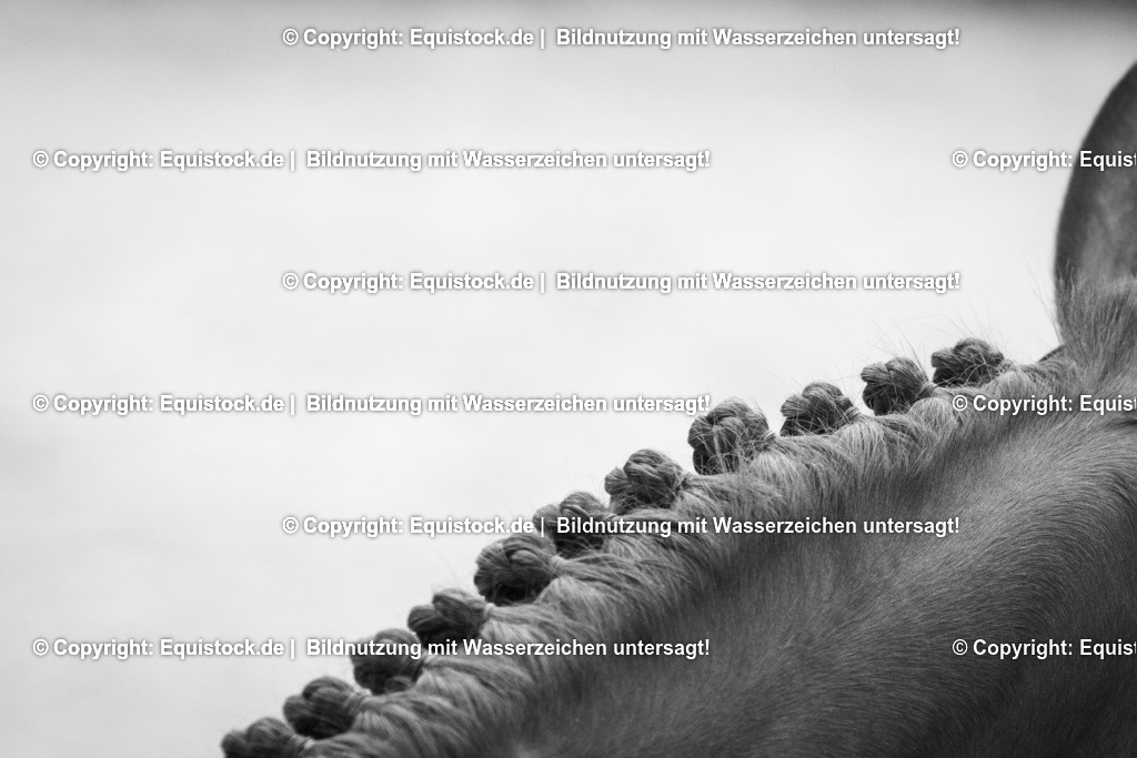 TS_20170501_Eingeflochtene_M__hne_0006 | Foto: Thomas Hartig