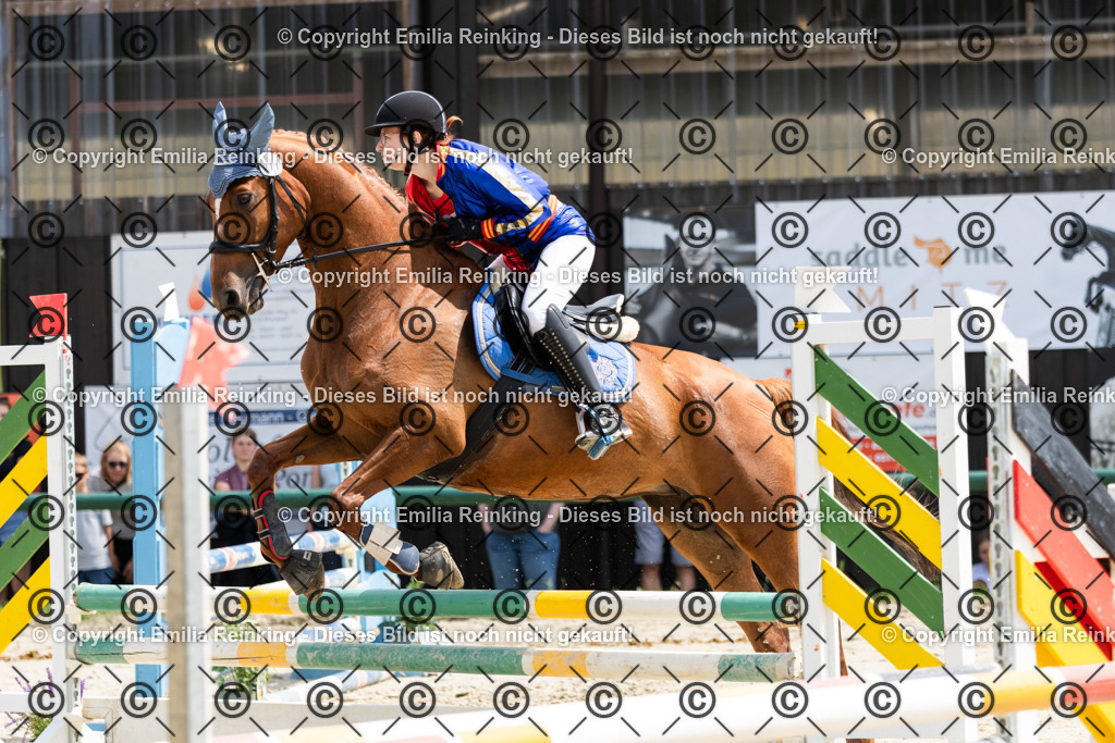 CL5A7440 | Emilia Reinking Fotografie - Realisiert mit Pictrs.com