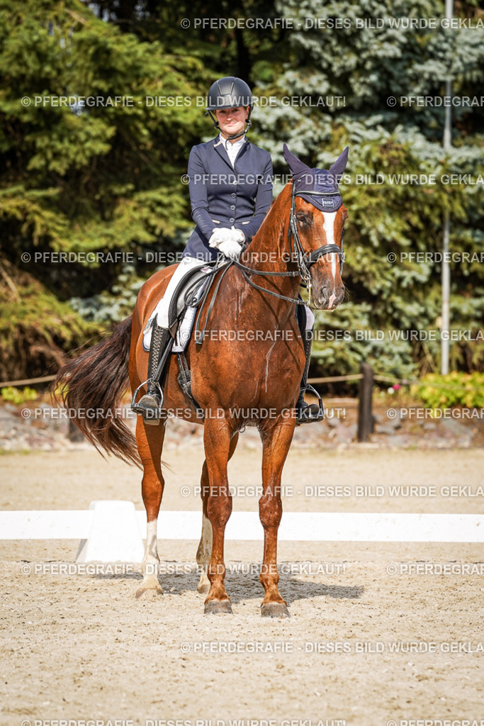 DSC07502 | Pferdegrafie