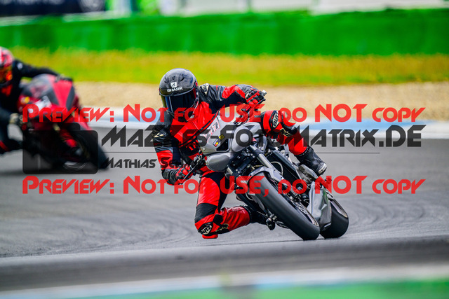 MaZZes_FotoMatrix_240614_6007705_7202 | GELB