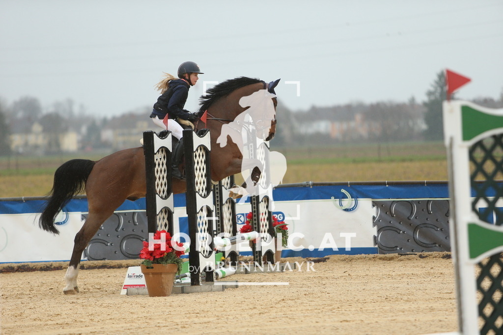 DL2Q0921 | Willkommen bei Brunnmayr - Design & Fotografie – Ihrem Spezialisten für Reitturniere und Pferdeveranstaltungen in Oberösterreich, Salzburg und Bayern! Seit über 17 Jahren sind wir leidenschaftlich dabei.
