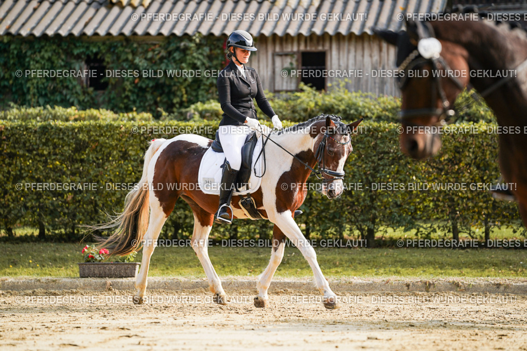 DSC05690 | Pferdegrafie