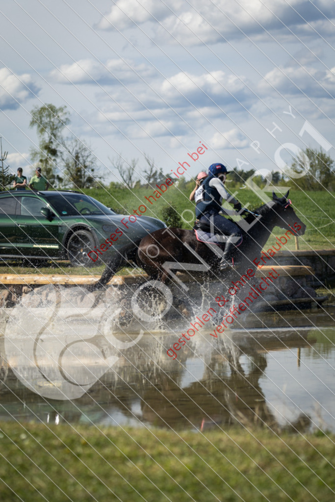 IMG_6676 | Hier findest Du viele Augenblicke aus den Bereichen der Turnier-, Sport- & Tierfotografie. Bilder mit deinem Liebling, Portrait-, Bewerbungs-, Businessbilder können ebenfalls schnell und einfach erstellt werden.