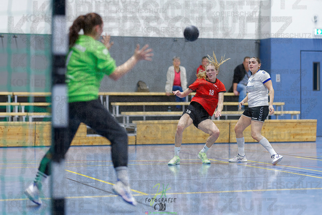 Frauen 2. Bezirksklasse; SG Rechtenbach - HSG Linden II | Frauen 2. Bezirksklasse; SG Rechtenbach - HSG Linden II am 16.11.2025 in Rechtenbach (Sporthalle Rechtenbach)Photo © 2025 - Jörg Heinrich - Realisiert mit Pictrs.com