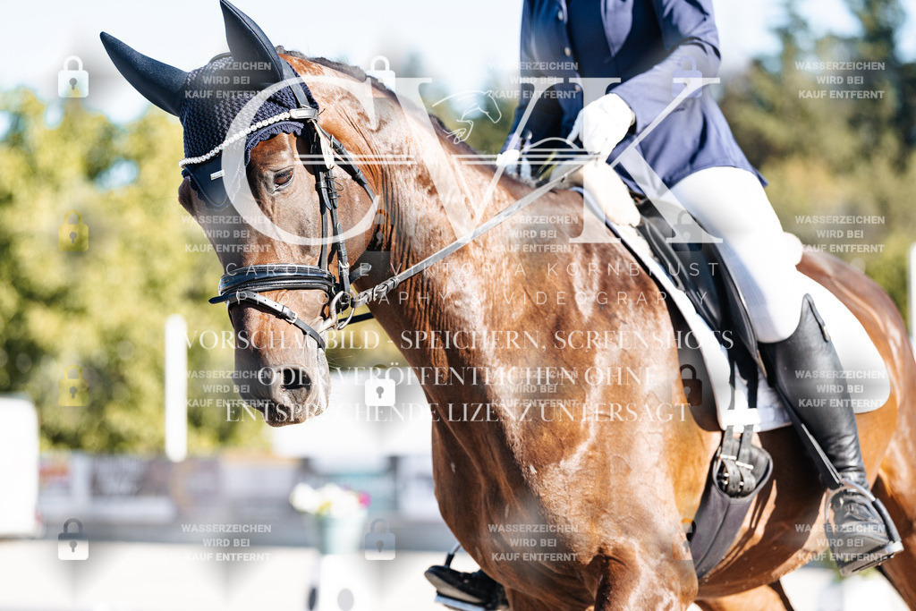 CK907388 | Turnierfotografie Pferdefotografie Trier Rheinland-Pfalz Pferdesport Reitsport Tierfotografie Sportfotografie Pferdevideo Pferdevideografie Equestrianvideography equestrianphotography  - Realisiert mit Pictrs.com