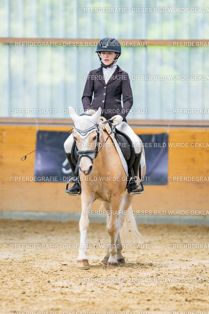 DSC07125 | Pferdegrafie