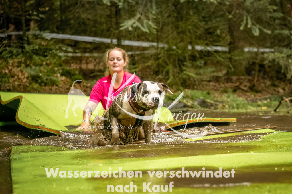 1426_ZZ92357-Bearbeitet | kk-dogfotos