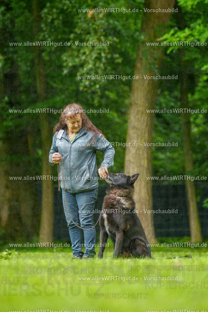 @allesWIRTHgut_Tierfotografie - www.allesWIRTHgut.de - 135429-7R500164 | Professionelle Tierfotografie in Mönchengladbach von Daniel Wirth (allesWIRTHgut). Liebevolle & natürliche Bilder von Hunden & Katzen für unvergessliche Erinnerungen.