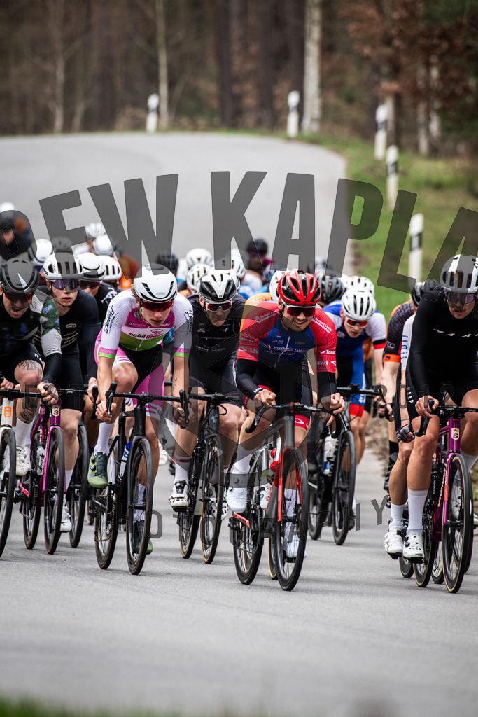 DKP-6037 | Drew Kaplan Photography