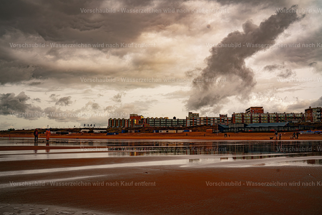 DSC01482-Enhanced-NR | marcuslinek