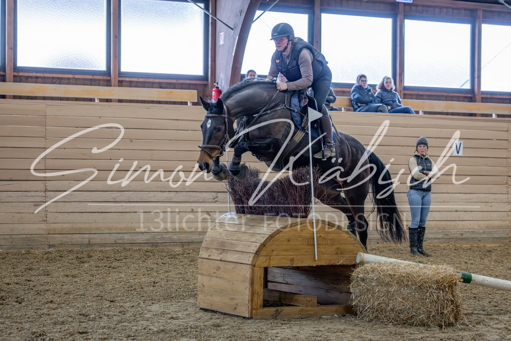 20260222-_3LI1676 | Tierfotografie Pferde, Hunde, Katzen, Haustiere.
Turnierfotografie Reitturniere, Reiten, Springreiten, Dressur in Hanau, dem Main-Kinzig-Kreis und dem Rhein-Main- Gebiet um Frankfurt