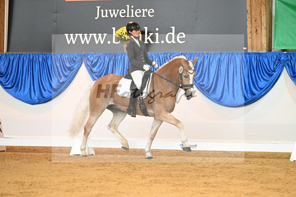 Kat-Nr. 301 Belle Sambatie_ZG Familie Stark_54221840 | hf-fotografie - Realisiert mit Pictrs.com