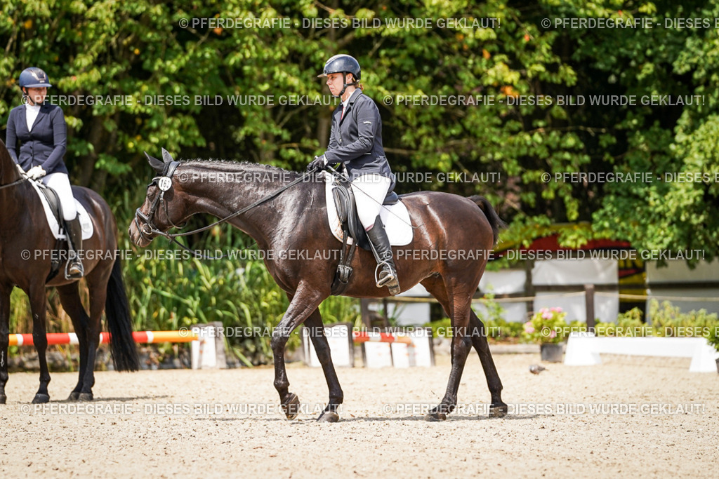 DSC02886 | Pferdegrafie