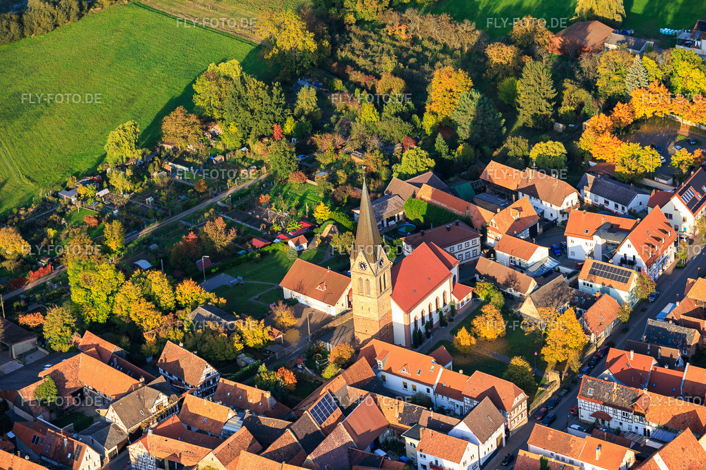 Kirche St. Martin | Luftbild: Kirche St. Martin in Steinweiler im Bundesland Rheinland-Pfalz in Deutschland. Foto: IMG_150242.jpg vom 15.10.2025 durch Werner Riehm/FLY-FOTO.de - Realisiert mit Pictrs.com