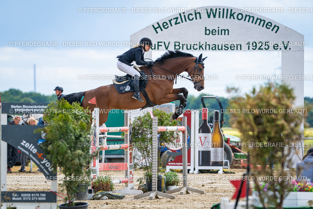 DSC05547 | Pferdegrafie