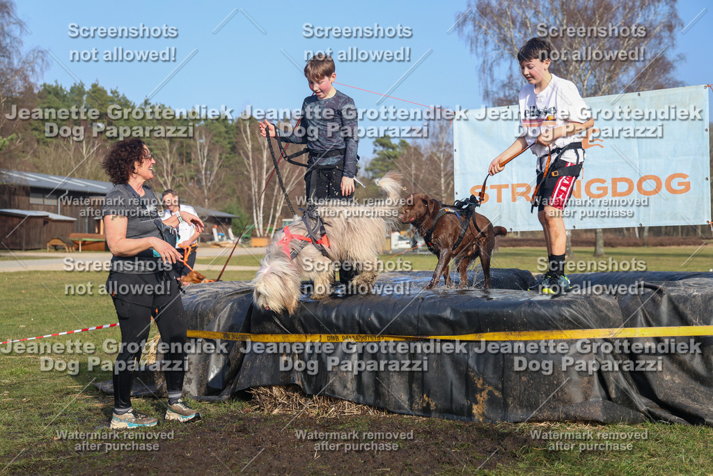 Dog Paparazzi - Strongdog North Mrz26-3525 | Dog Paparazzi Jeanette Grottendiek Fotografie & Videografie - Realisiert mit Pictrs.com